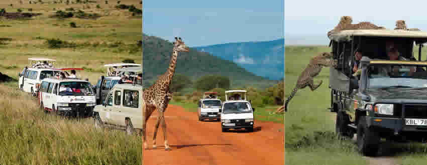 How To Start A Tours And Travel Agency In Kenya