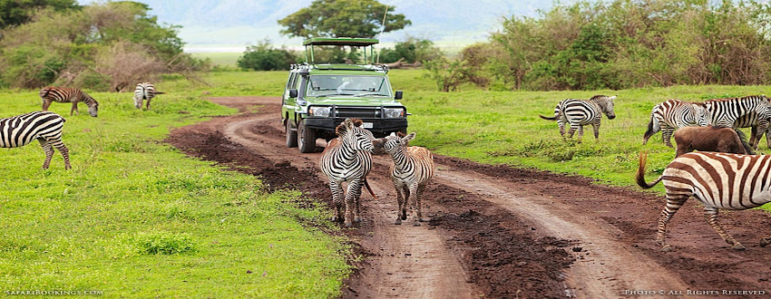 Tourism License In Tanzania