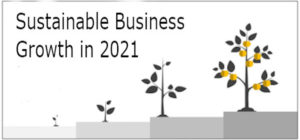 Workshop: Overcoming Plateaus to Achieve Sustainable Business Growth in 2021